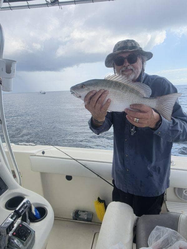 Craig F.'s Mangrove Snapper
